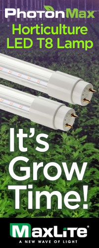 MaxLite